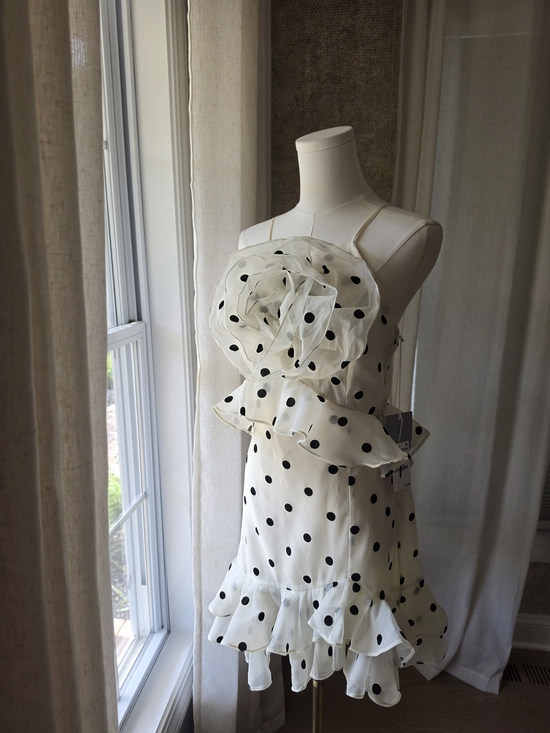 Lucy Paris Dresses & Skirts - Lucy Paris Remy Polka Dot Rosette Ruffle Mini Dress Cream Black M NWT